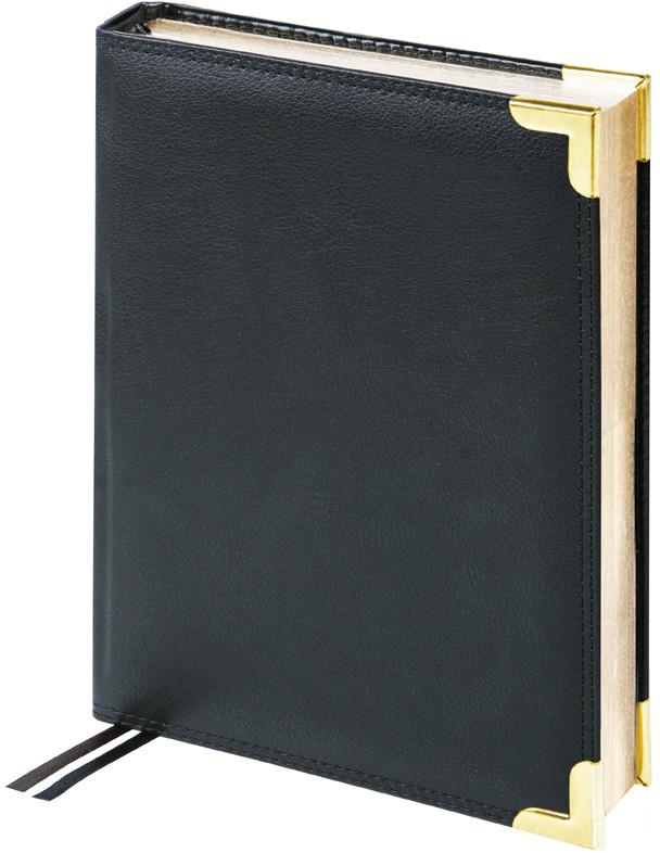 Ежедневник | Delucci