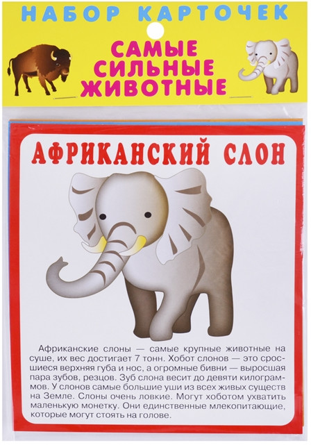 Набор карточек «Самые сильные животные»