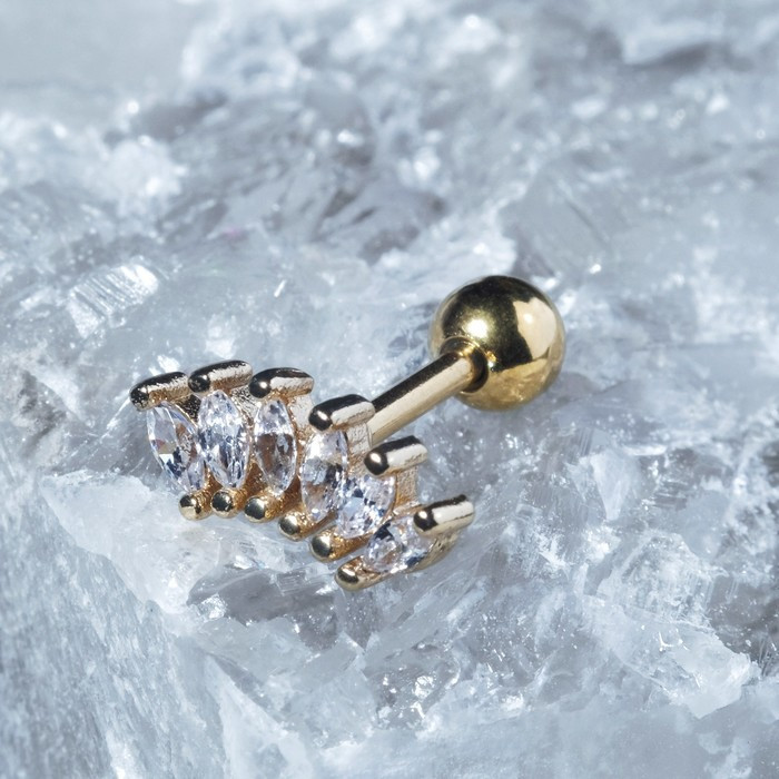 Пирсинг в ухо «Листья»