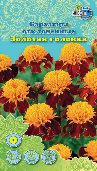 Бархатцы отклоненные «Золотая головка» | Инвент+