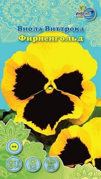 Виола Виттрока «Фирненгольд» | Инвент+
