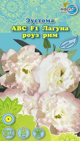 Эустома «АВС F1 Лагуна роуз рим» | Инвент+