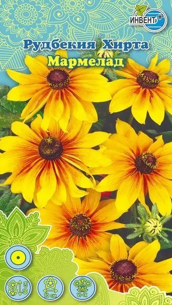 Рудбекия хирта «Мармелад» | Инвент+