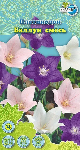 Платикодон «Баллун смесь» | Инвент+
