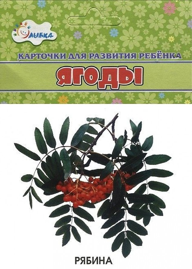 Карточки «Ягоды» | Учебные карточки