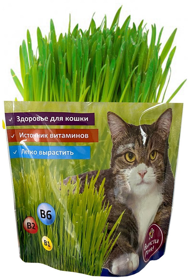 Набор для выращивания «Трава для кошек» | Вырасти меня!