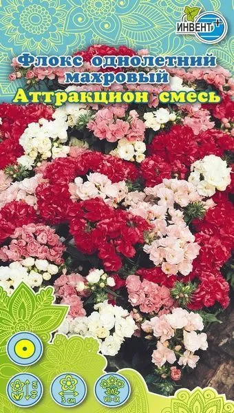 Флокс махровый «Аттракцион смесь» | Инвент+