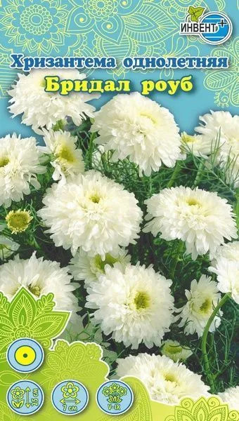 Хризантема «Бридал роуб» | Инвент+
