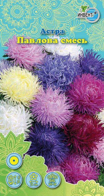 Астра «Павлова смесь» | Инвент+