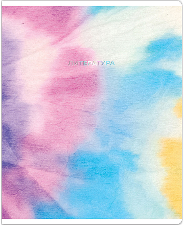Тетрадь предметная «Литература» | Candy color | Meshu