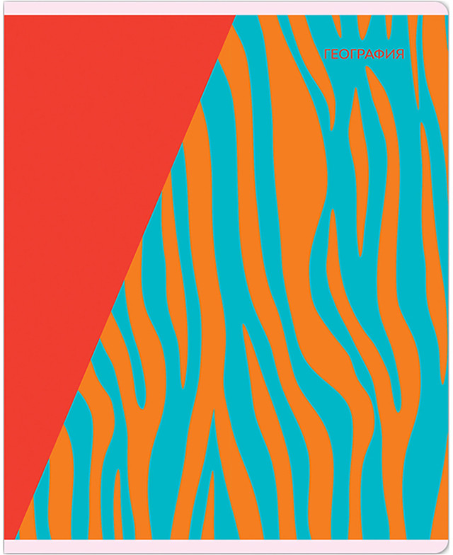 Тетрадь предметная «География» | Bright splash | Meshu