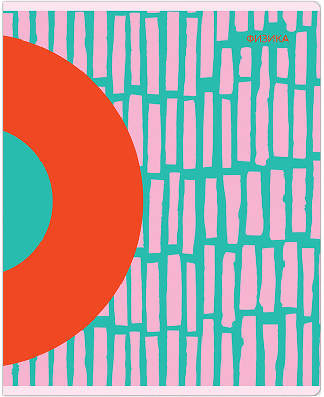 Тетрадь предметная «Физика» | Bright splash | Meshu