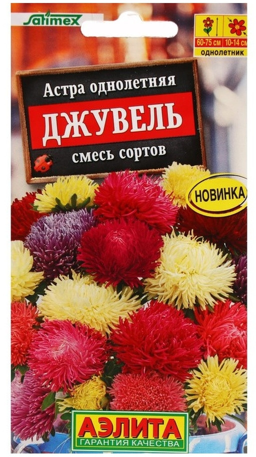 Астра «Джувель» | Однолетник | Аэлита