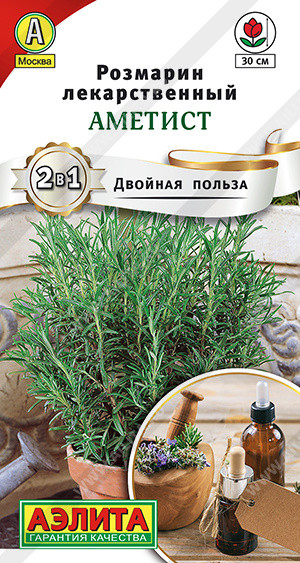 Розмарин «Аметист» | Аэлита