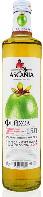 Лимонад со вкусом фейхоа | Ascania