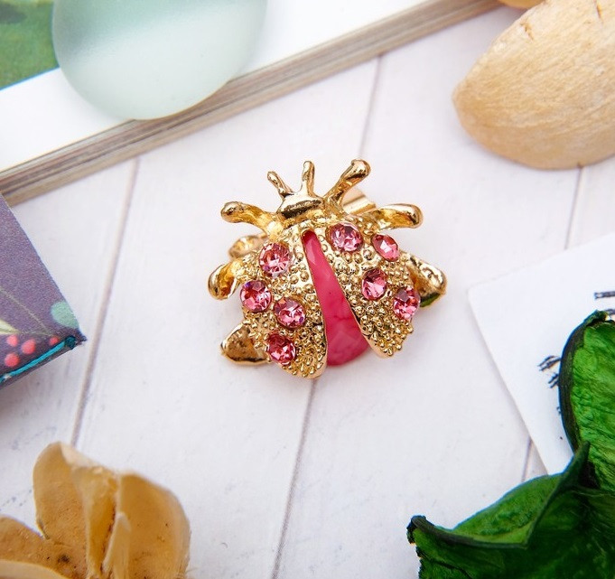 Брошь «Божья коровка» | Животные в бижутерии | Queen Fair