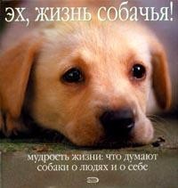 Эх, жизнь собачья!: Мудрость жизни: Что думают собаки о людях и о себе