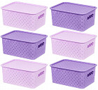 лаванда/светло-лавандовый