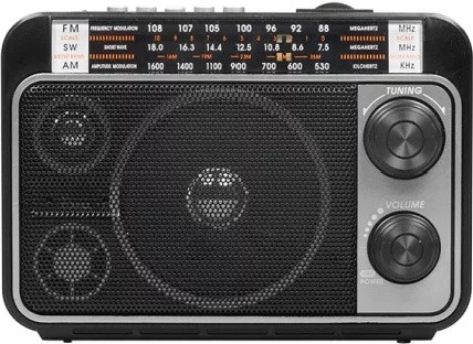 Радиоприемник портативный Ritmix RPR-171 | Ritmix