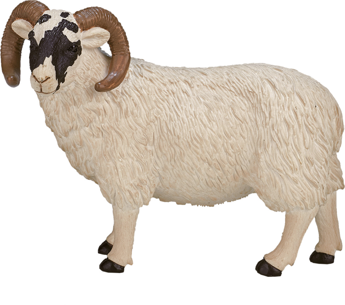 Фигурка «Шотландский черноголовый баран» | Домашние животные | Konik