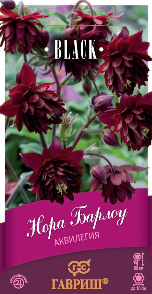 Аквилегия «Нора Барлоу» | Black | Гавриш