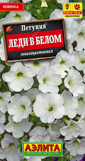 Петуния «Леди в белом» | Аэлита