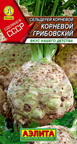 Сельдерей корневой «Грибовский»