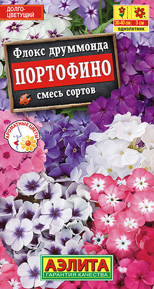 Флокс друммонда «Портофино» | Аэлита