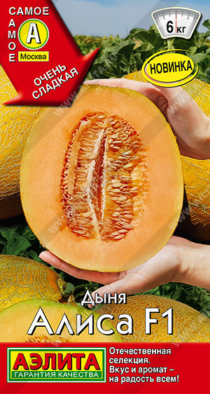 Дыня «Алиса F1» | Аэлита