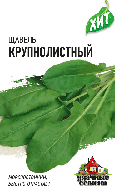 Щавель «Крупнолистный» | Удачные семена | Гавриш