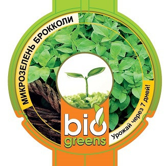 Комплект для проращивания «Микрозелень брокколи» | Bio Greens | Гавриш