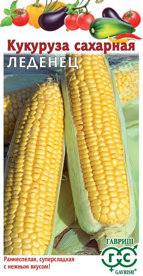 Кукуруза сахарная «Леденец F1» | Гавриш