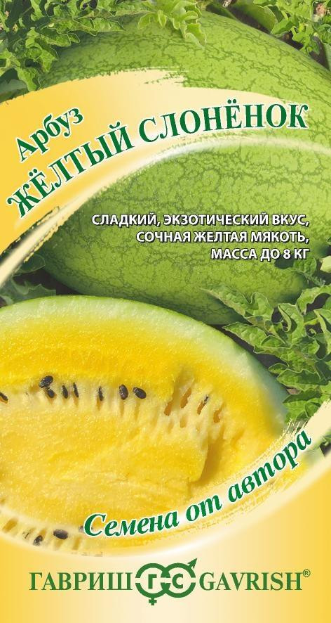 Арбуз «Желтый слоненок» | Гавриш