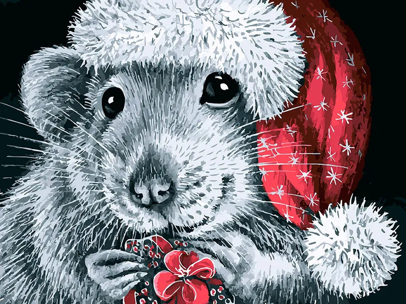 Картина по номерам «Поздравляю!» | Белоснежка