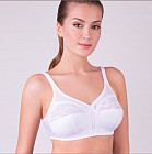 ночная тень