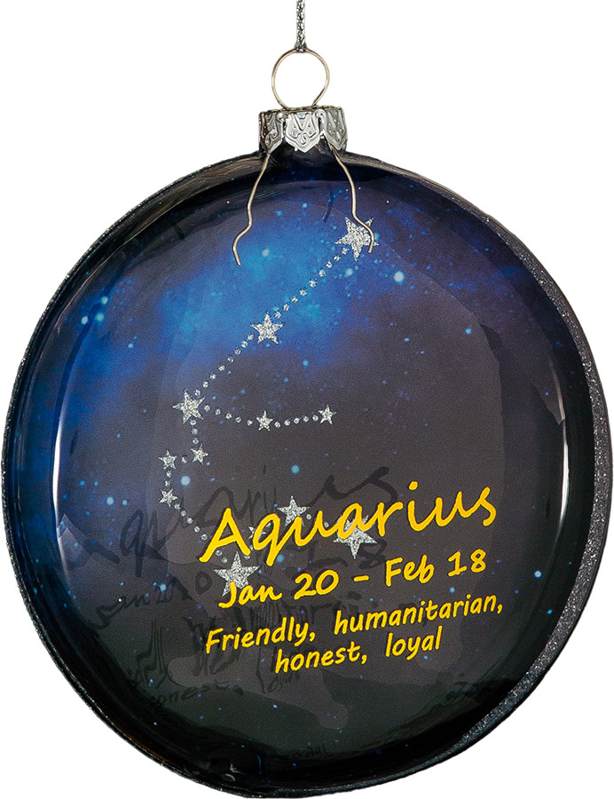 Украшение-медальон новогоднее «Водолей» | Млечный путь | Erich Krause