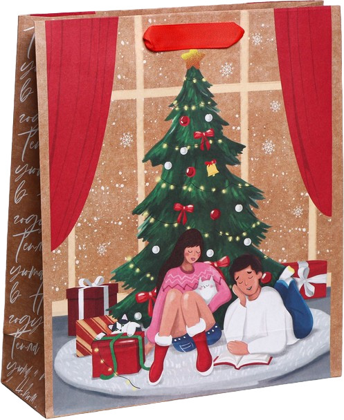 Пакет подарочный «Уют в доме» | Новогодние истории | Дарите Счастье