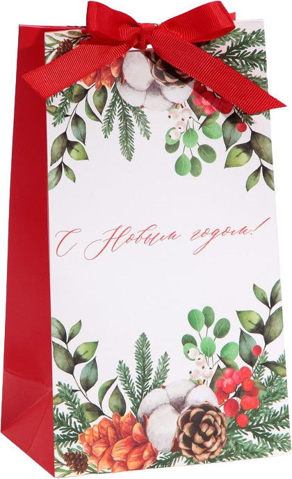 Пакет подарочный «Новогодняя пора» | Новогодняя ботаника | Дарите Счастье