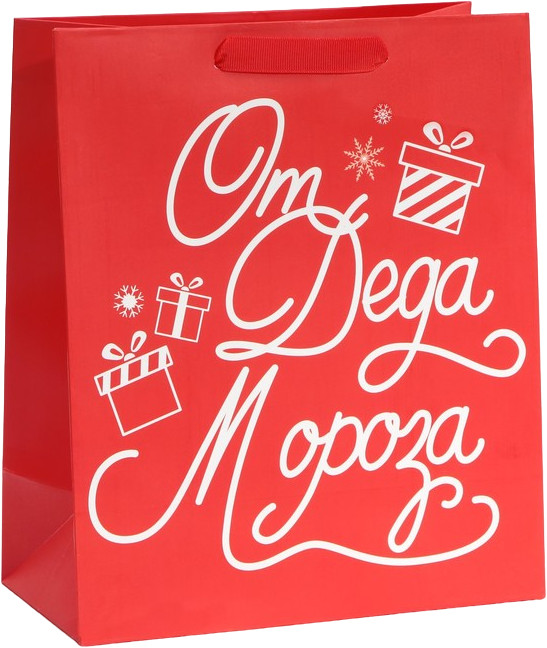 Пакет подарочный «Новогодний подарочек» | Подарок от Деда Мороза | Дарите Счастье