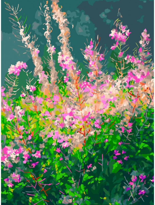 Картина по номерам «Летний луг» | Пейзаж | Белоснежка