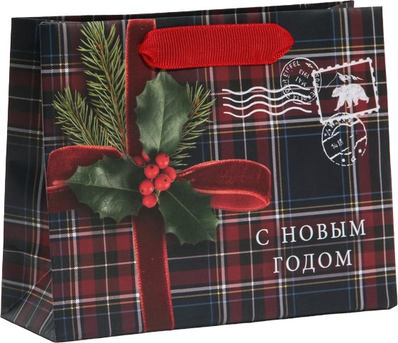 Пакет ламинированный «На Северный полюс» | Мужской Новый Год | Дарите Счастье