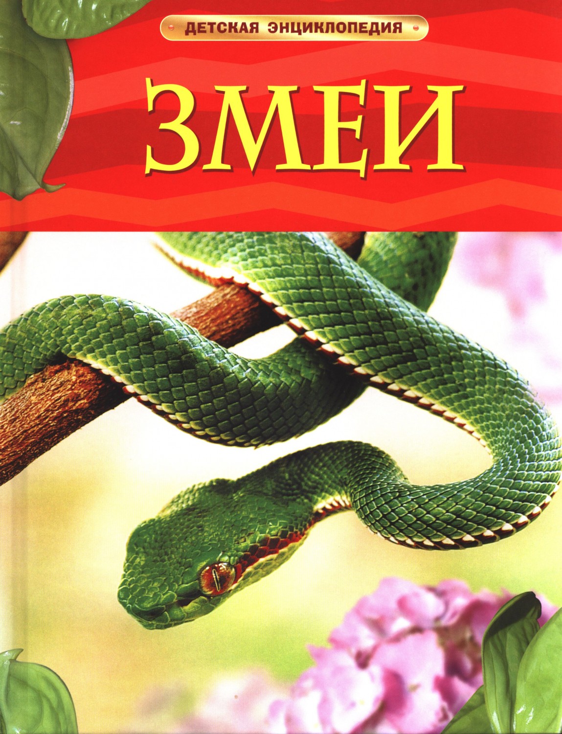 Змеи | Детская энциклопедия