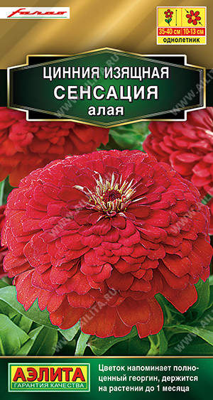 Цинния «Сенсация алая» | Аэлита