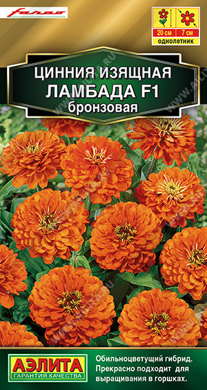 Цинния «Ламбада F1 бронзовая» | Farao (Италия) | Аэлита