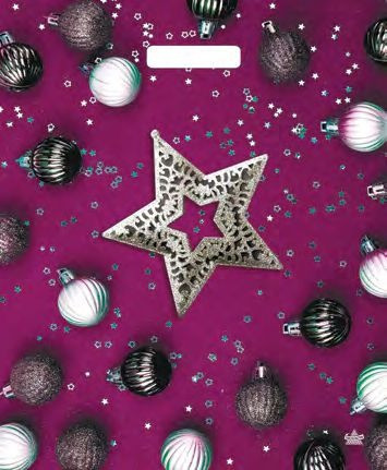 Пакет подарочный «Новогодняя звезда» | ТикоПластик