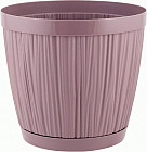 морозная слива