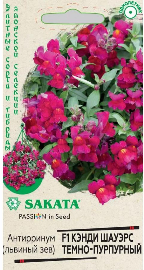 Львиный зев «Кэнди Шауэрс темно-пурпурный F1» | Элитные сорта и гибриды японской селекции | Гавриш