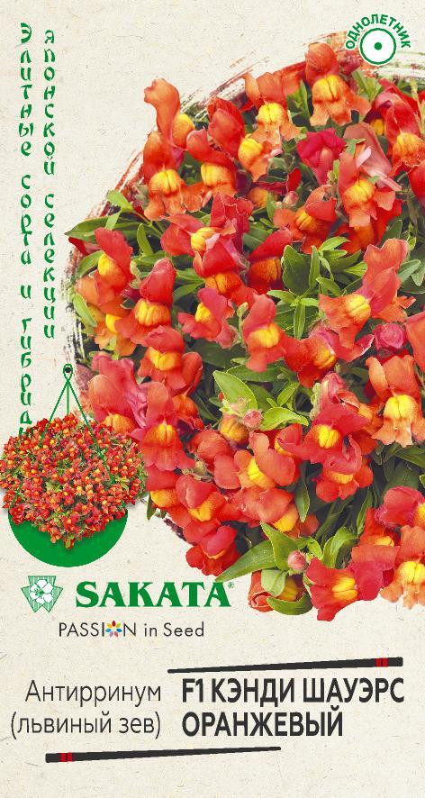 Львиный зев «Кэнди Шауэрс оранжевый F1» | Элитные сорта и гибриды японской селекции | Гавриш
