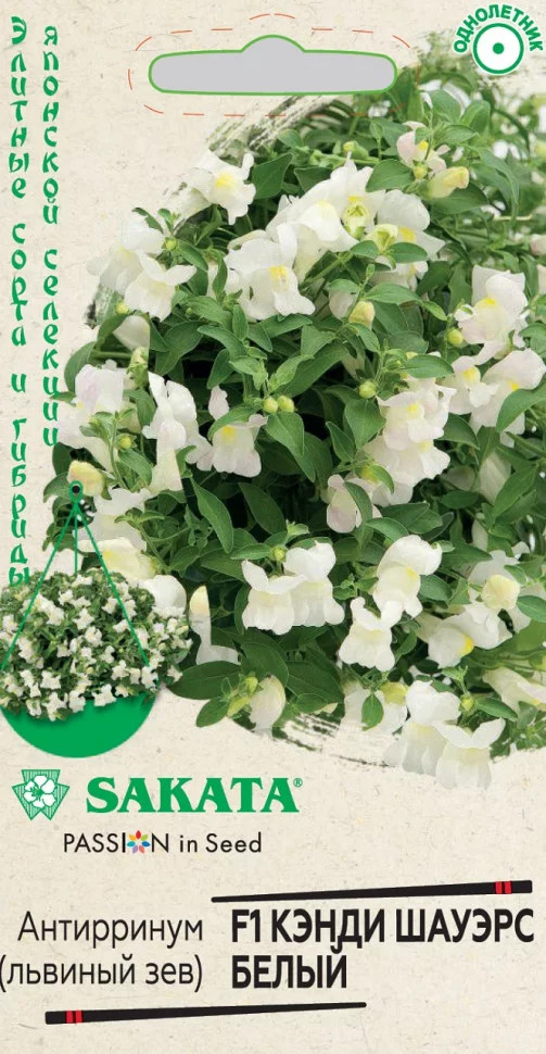 Львиный зев «Кэнди Шауэрс белый F1» | Элитные сорта и гибриды японской селекции | Гавриш
