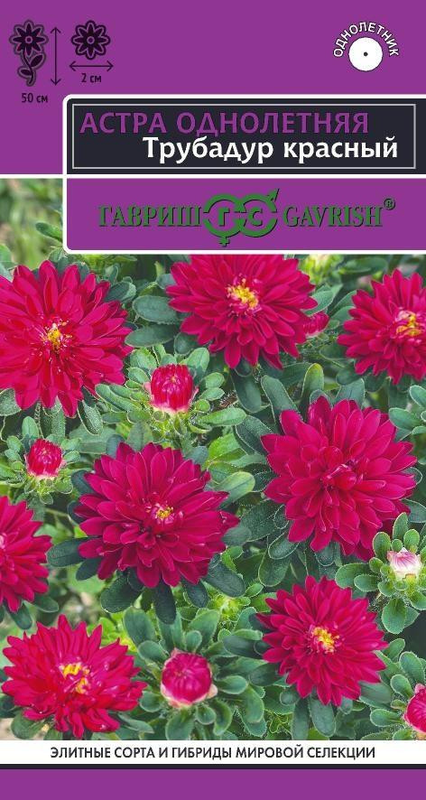 Астра «Трубадур красный» | Гавриш